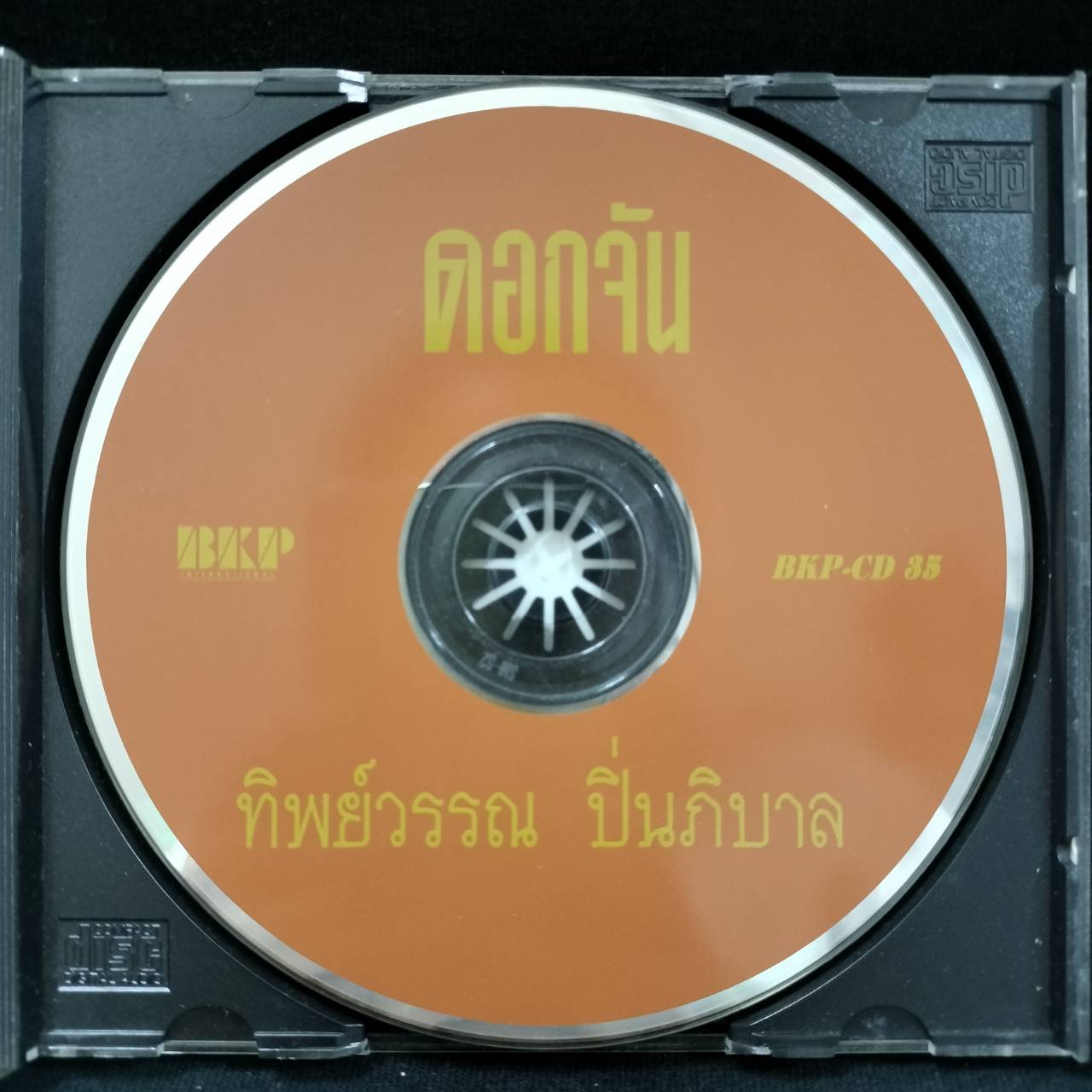 ทิพย์วรรณ ปิ่นภิบาล – ดอกจัน / แผ่นสวย / โค้ด SM