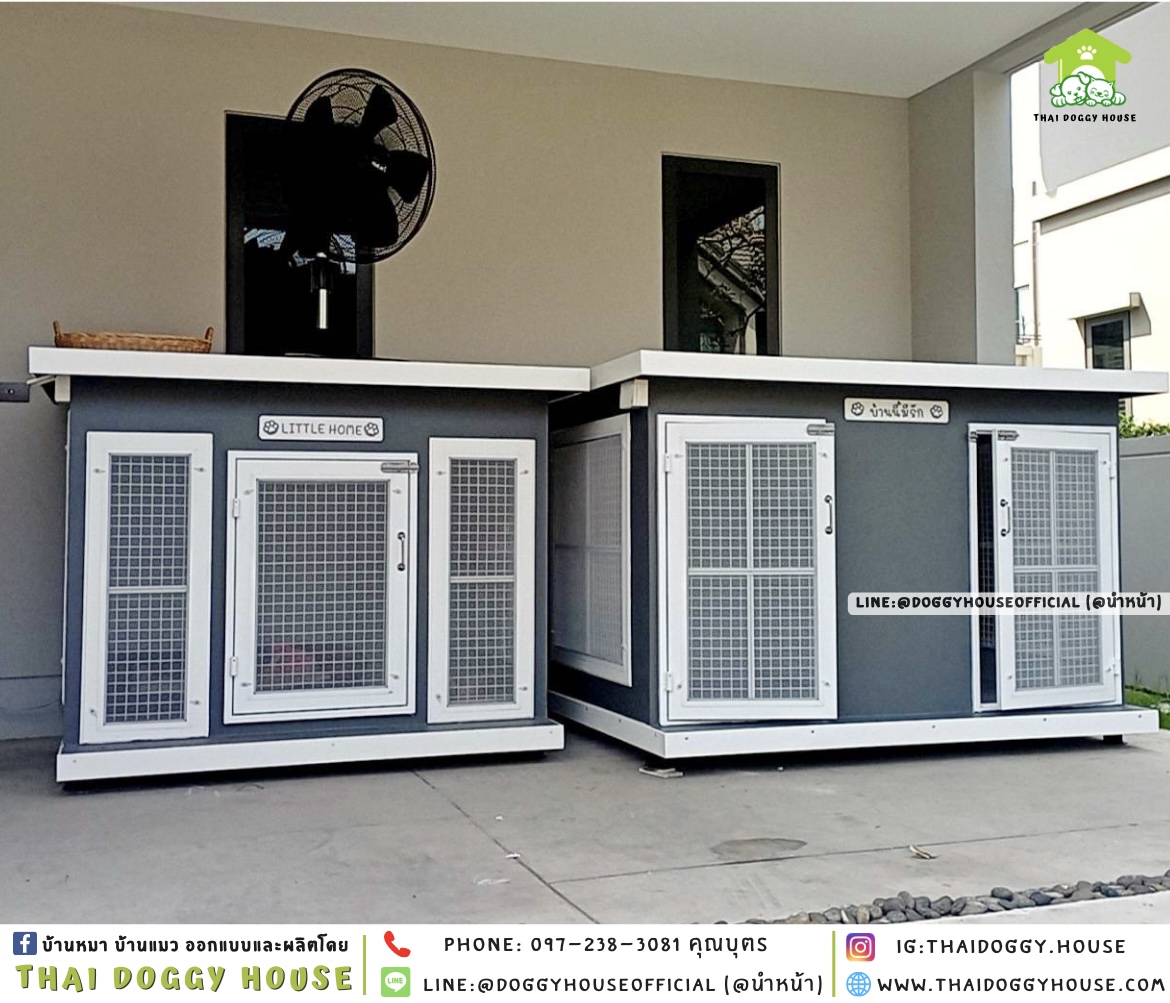 บ้านหมา ติดพัดลม มีมุ้งลวด+ตะแกรงเหล็ก แบบบ้าน 𝐁𝐨𝐱 𝐬𝐭𝐲𝐥𝐞