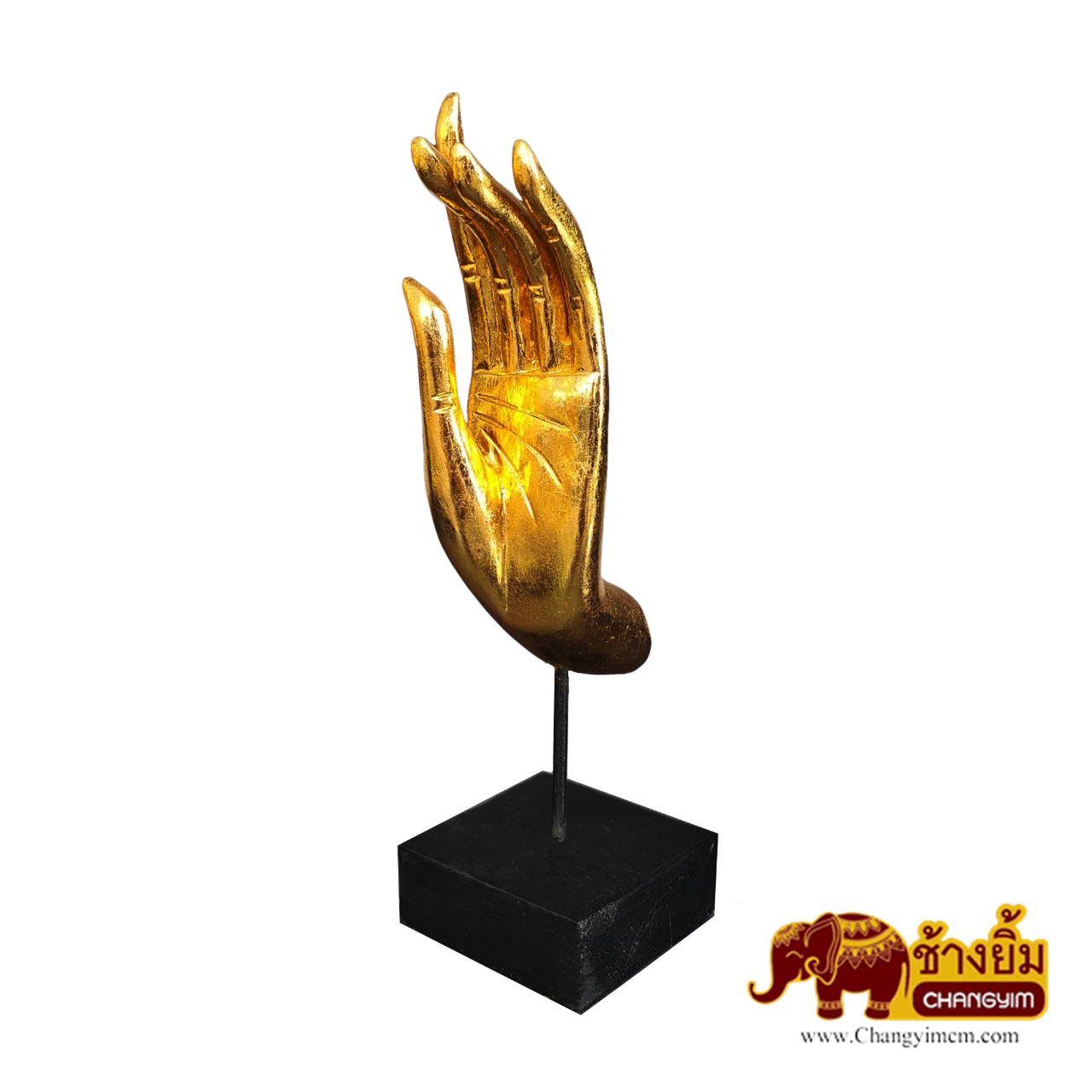 มือตั้ง ( คู่ )