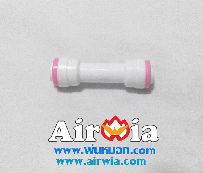 Check Valve 1/4"