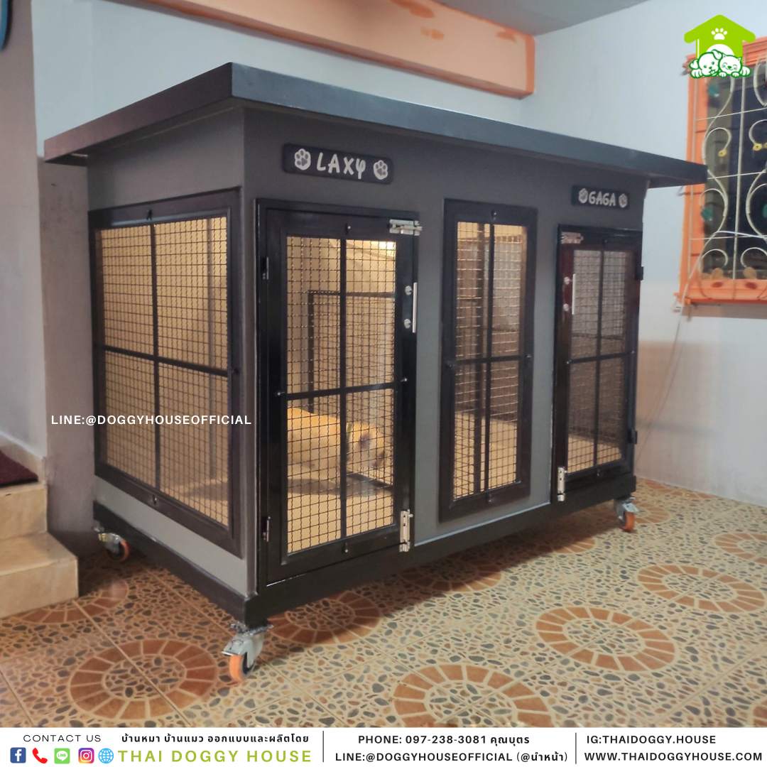 บ้านหมา 2 ประตู BOX STYLE