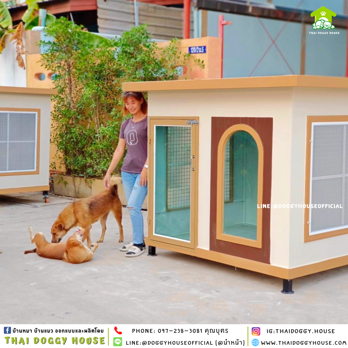 บ้านหมา แบบบ้าน 𝐁𝐎𝐗 𝐒𝐓𝐘𝐋𝐄