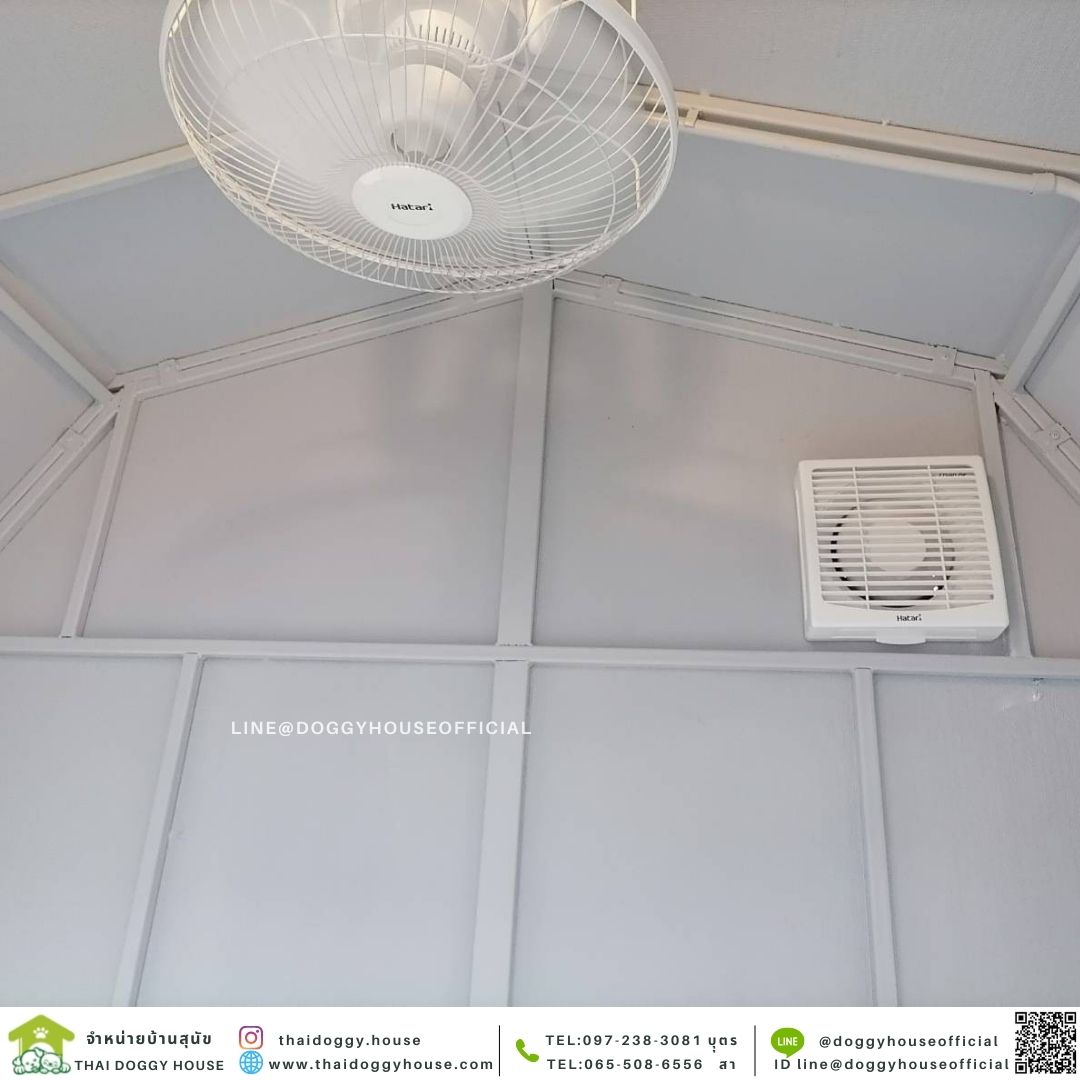 บ้านหมา