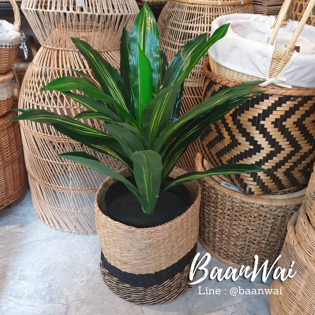 ตะกร้าใส่ต้นไม้ ตะกร้าต้นไม้สวยๆ ตะกร้าต้นไม้สาน กระถางต้นไม้สาน