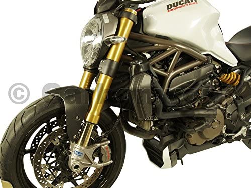 carbonworld บังโคลนหน้าคาร์บอน สำหรับ monster 821 2018+