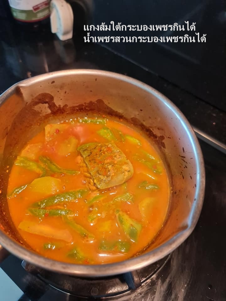 พันธุ์กระบองเพชรกินได้สายพันธุ์โอ.วุลการิส O. Vulgaris ขนาดมาตรฐาน 3 ขนาด ตัดสดทาเร่งราก