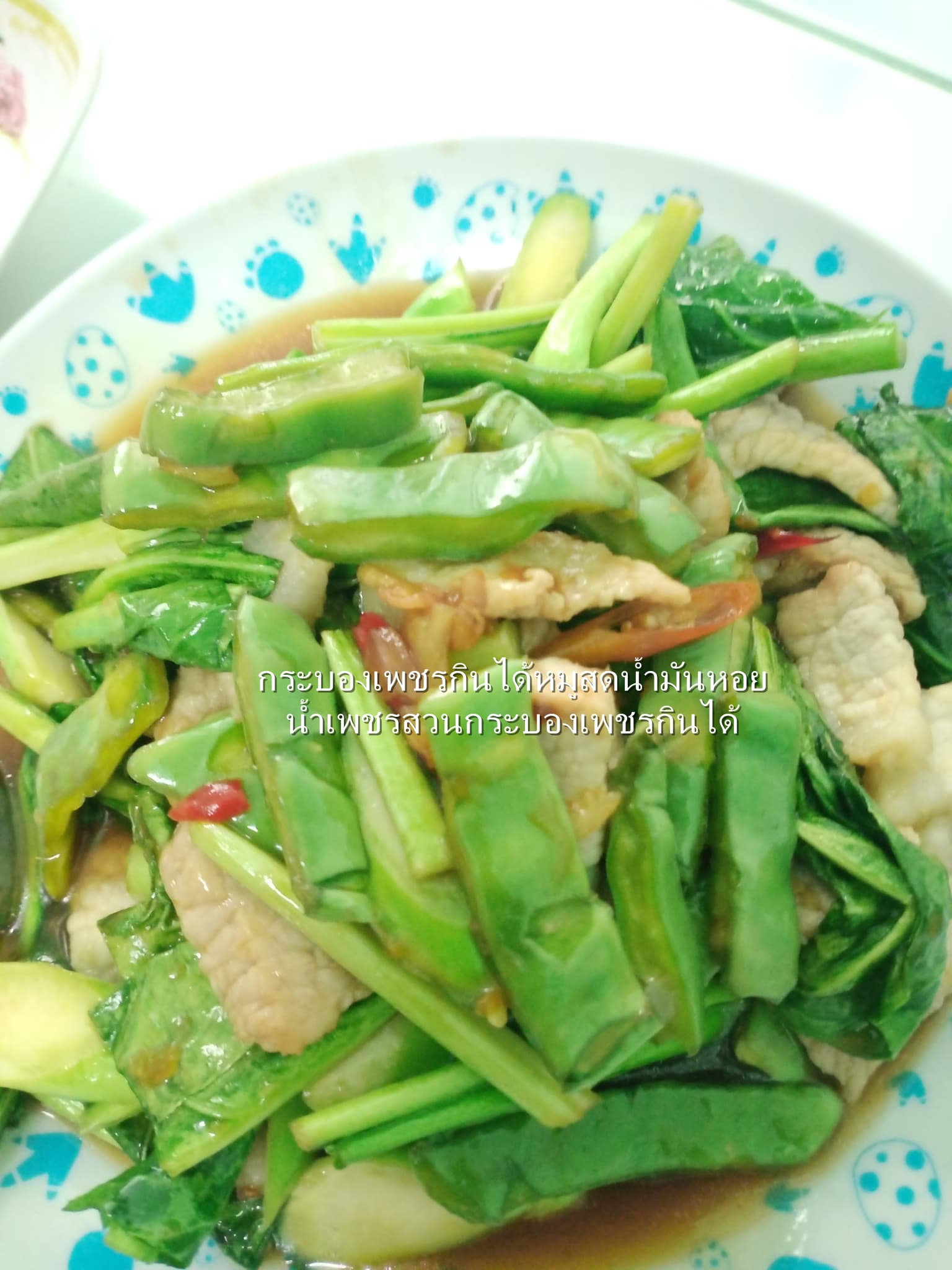 พันธุ์กระบองเพชรกินได้สายพันธุ์โอ.วุลการิส O. Vulgaris ขนาดมาตรฐาน 3 ขนาด ตัดสดทาเร่งราก