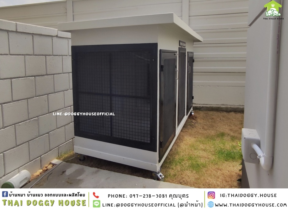 บ้านหมา 𝟐 ประตู แบบบ้าน 𝐁𝐎𝐗 𝐒𝐓𝐘𝐋𝐄