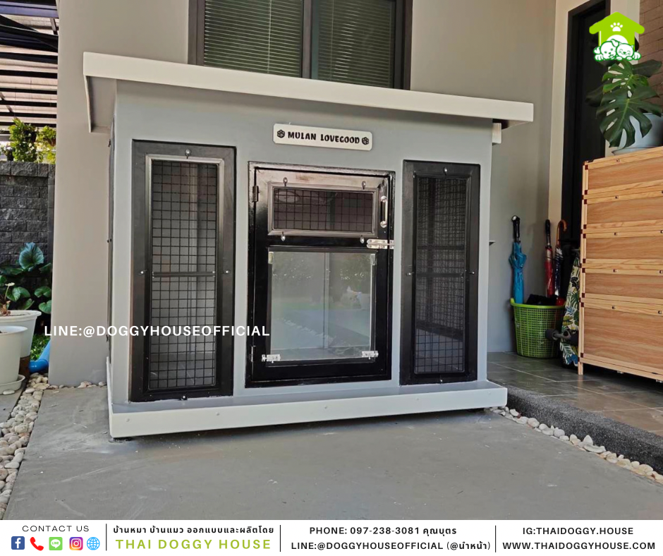 บ้านหมา แบบบ้าน Box style