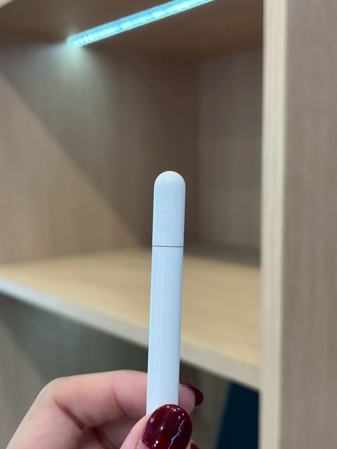 Apple Pencil USB-C