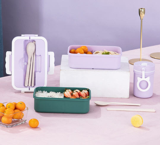 กล่องข้าวพลาสติก,กล่องข้าว