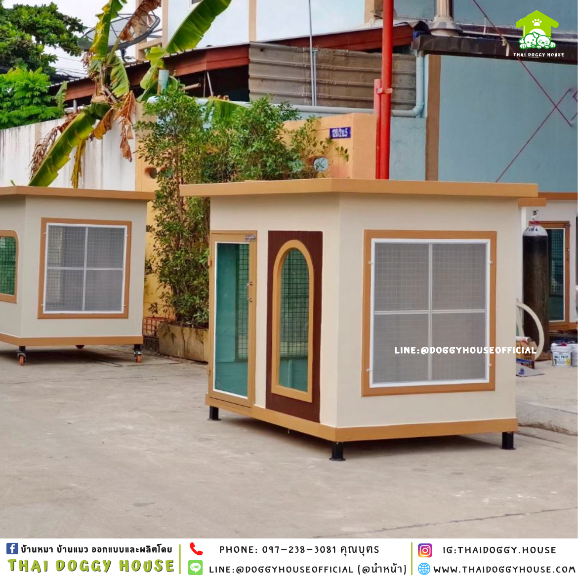 บ้านหมา แบบบ้าน 𝐁𝐎𝐗 𝐒𝐓𝐘𝐋𝐄