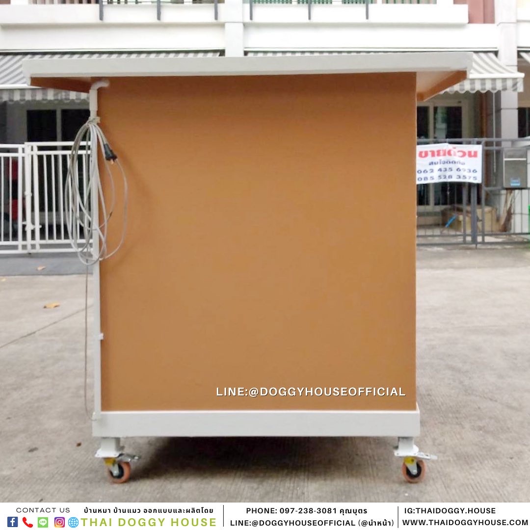 บ้านหมา สไตล์วินเทจ