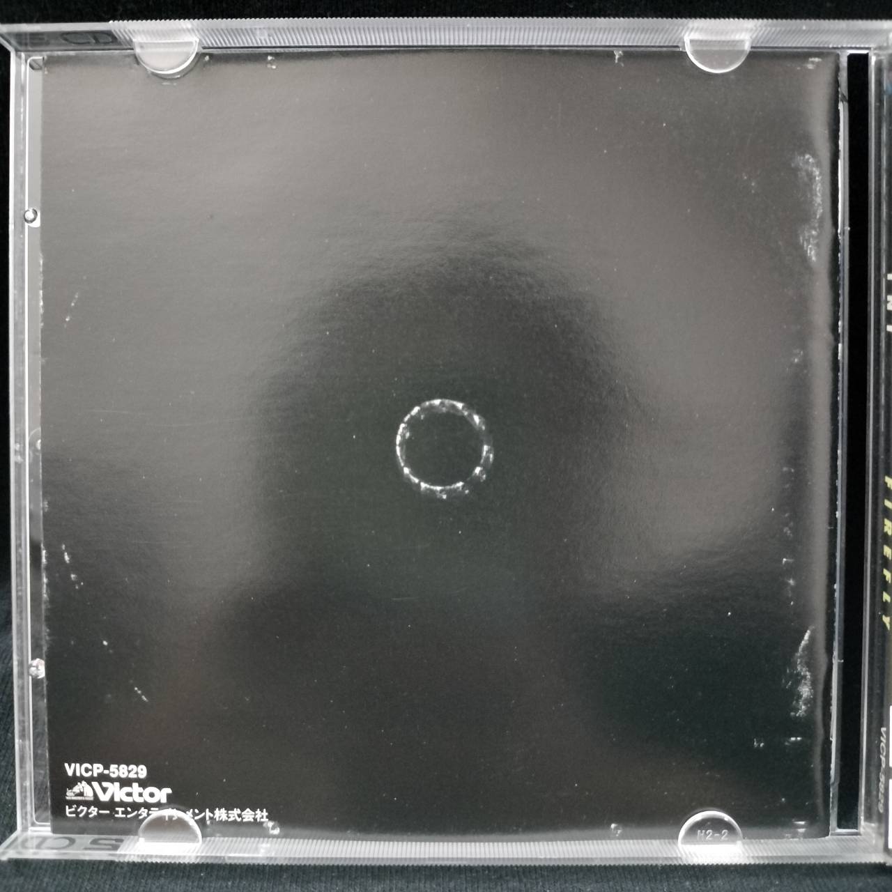 TNT – Firefly / JAPAN / ปกในเก่าเก็บ / แผ่นดี