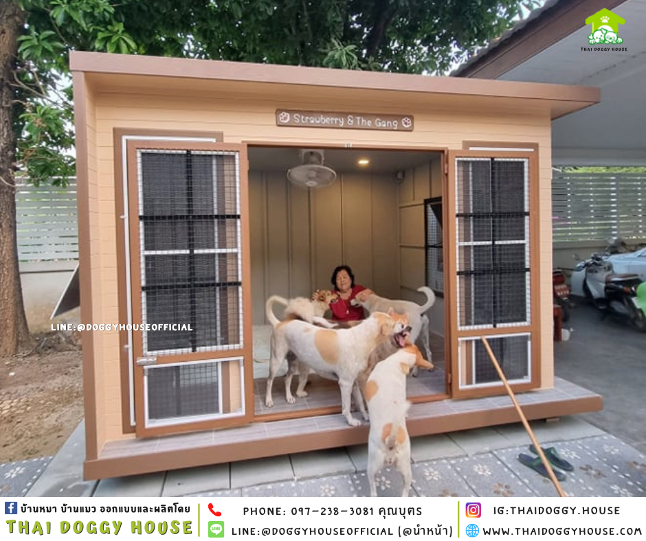 บ้านหมา แบบบ้าน BOX STYLE