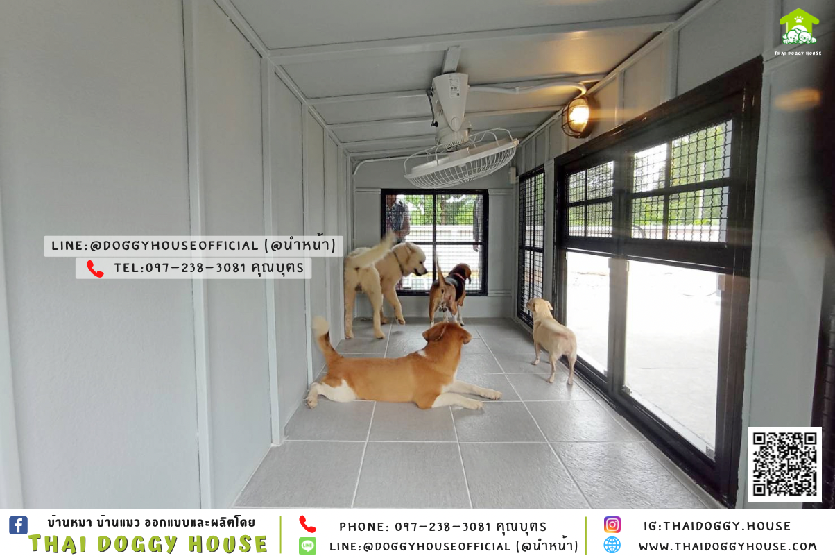 บ้านหมาติดพัดลม มีมุ้งลวด+ ตะแกรงเหล็ก แบบบ้าน 𝐁𝐎𝐗 𝐒𝐓𝐘𝐋𝐄