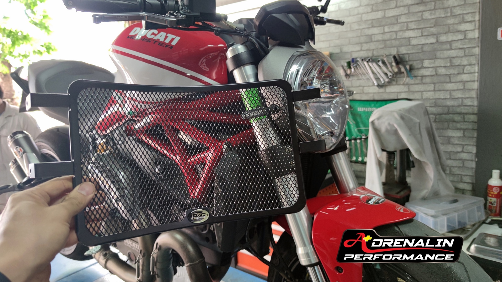 RG Racing การ์ดหม้อน้ำ (Radiator guard) สำหรับ Monster 821 2018+