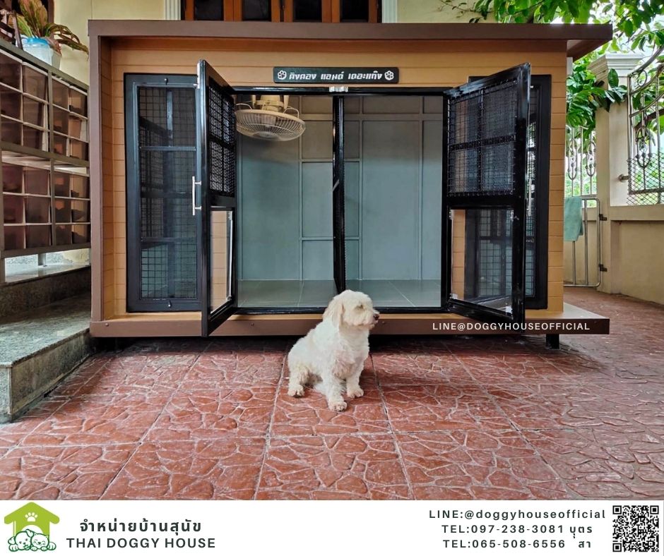 บ้านหมา