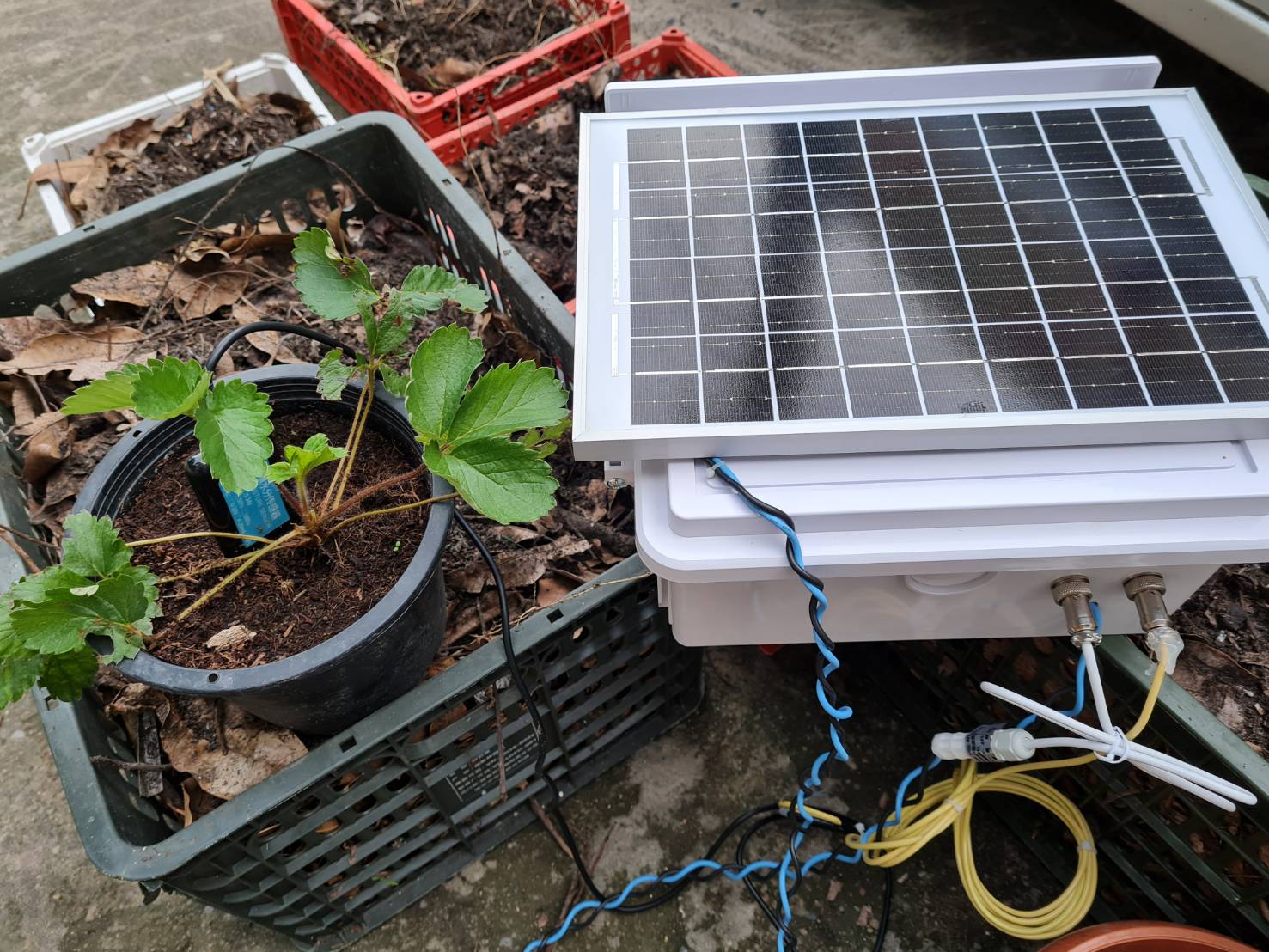 IOT ชุดระบบแจ้งเตือนสถานะต่างๆภายในโรงเรือน สวน แปลงผัก