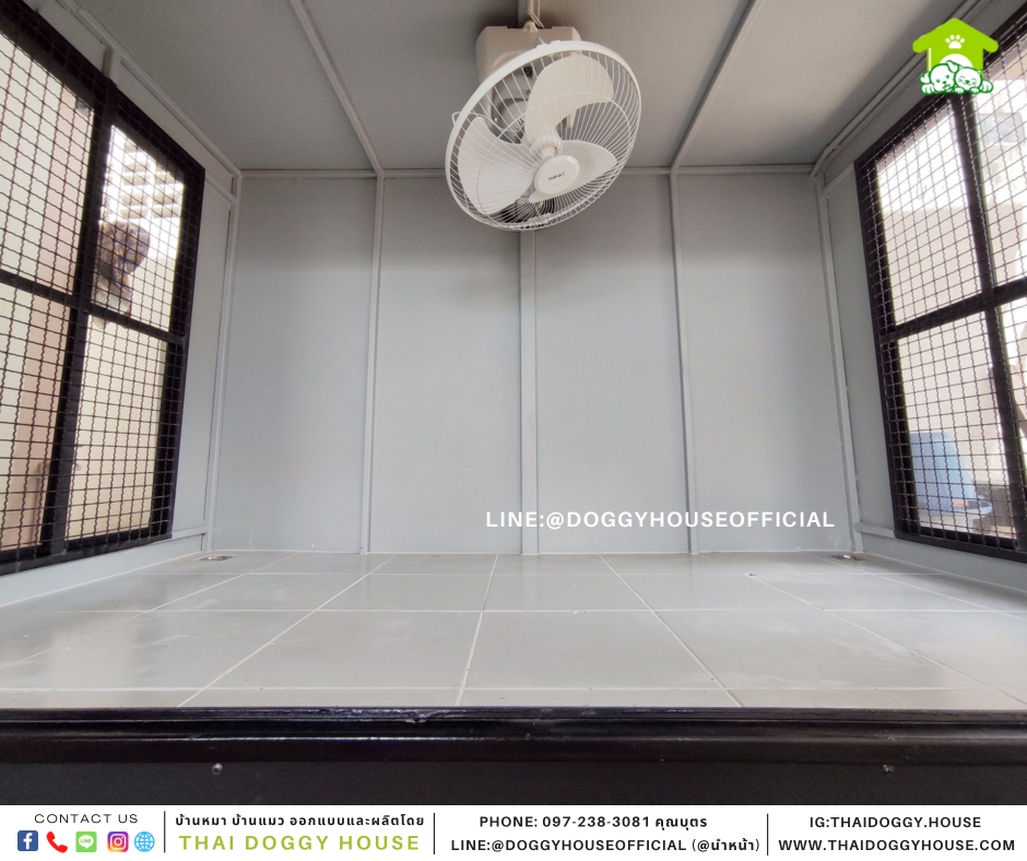 บ้านหมา แบบบ้าน Box Style