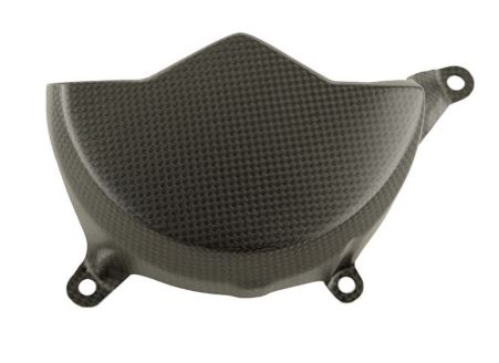 Carbonworld ครอบเครื่องคาร์บอน ซ้าย/ขวา สำหรับ Panigale V4