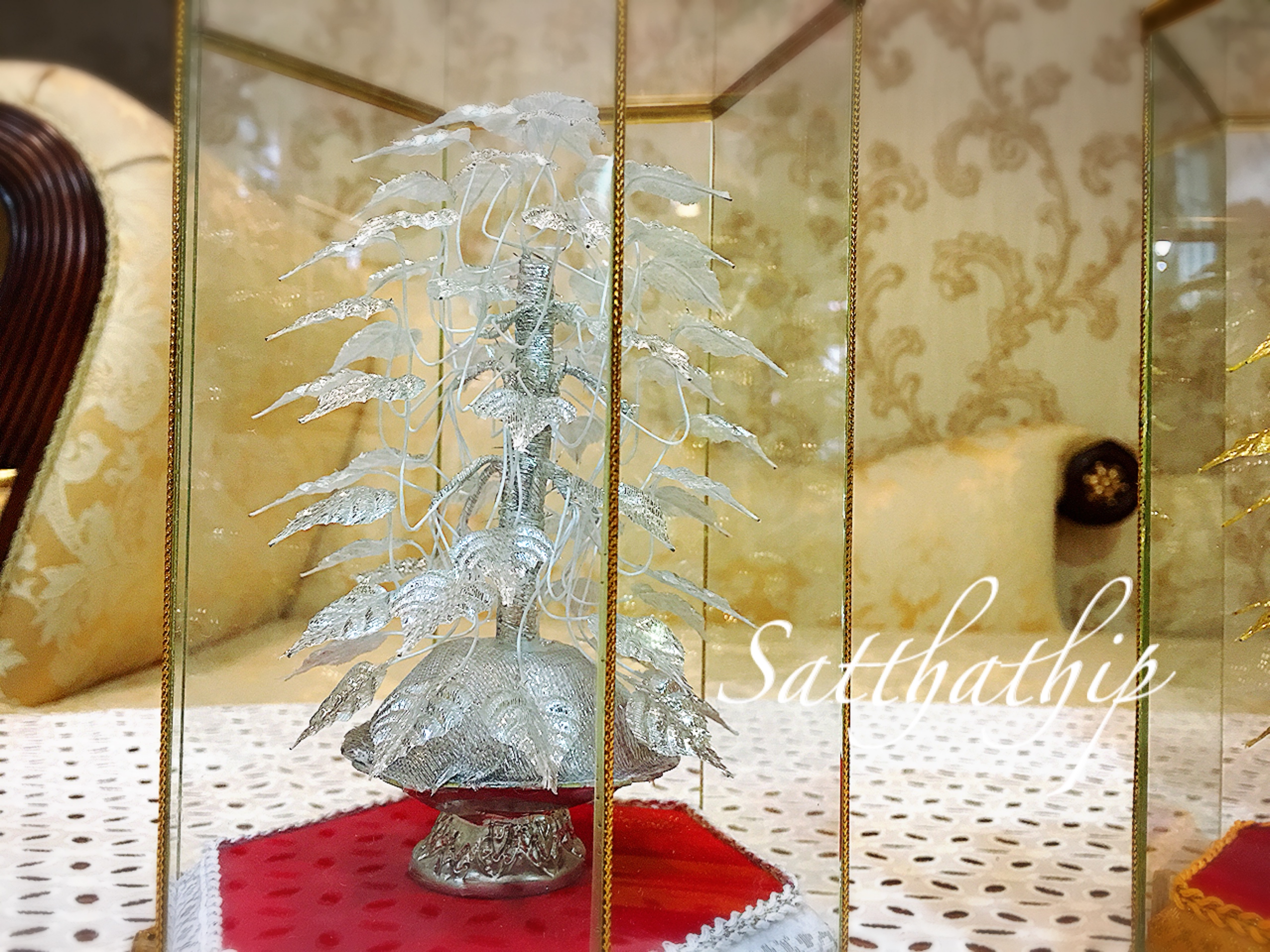 ต้นโพธิ์เงิน โพธิ์ทอง