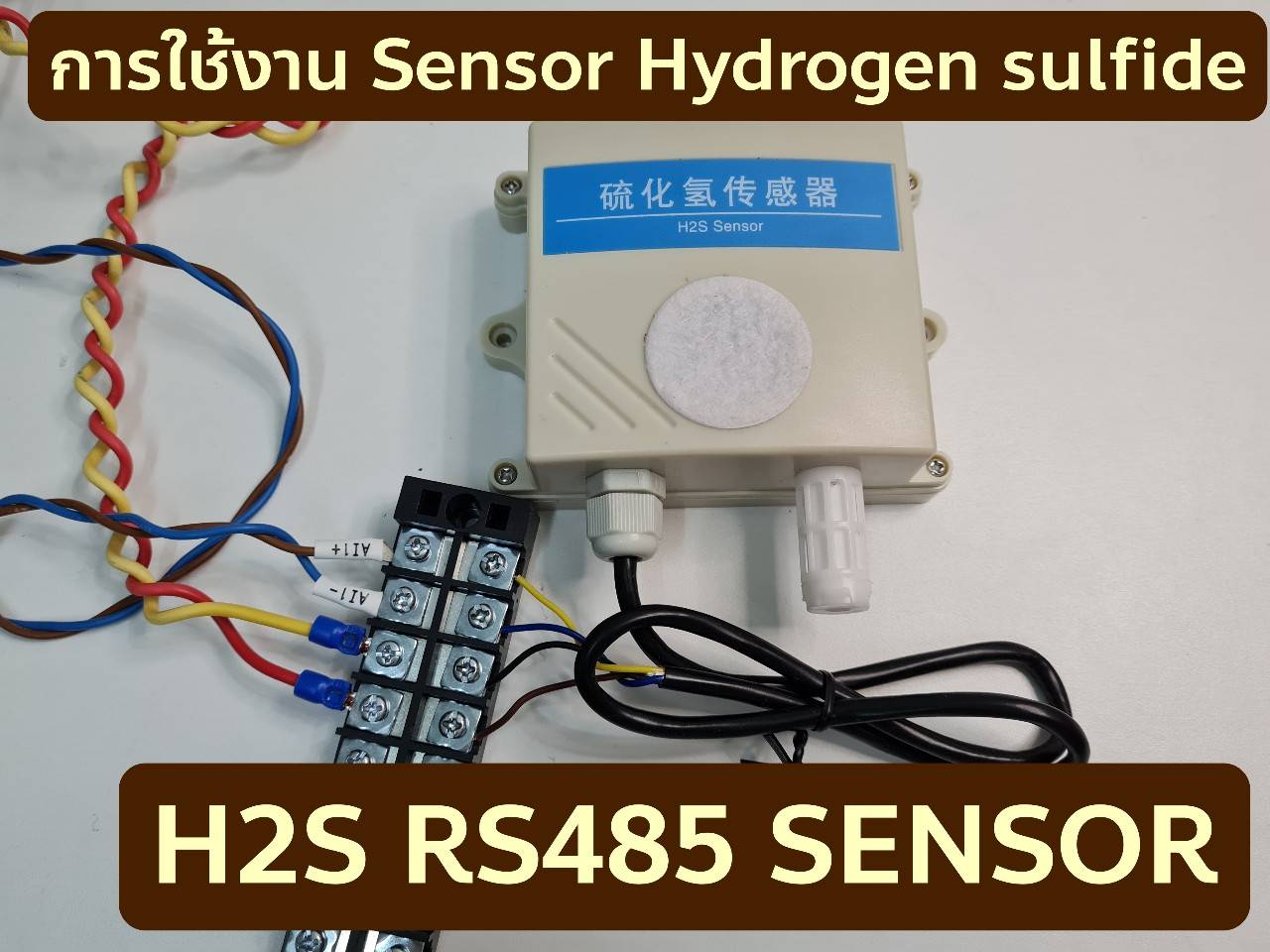 เซ็นเซอร์ก๊าซไฮโดรเจนซัลไฟด์ H2S Hydrogen sulfide gas sensor RS485 output