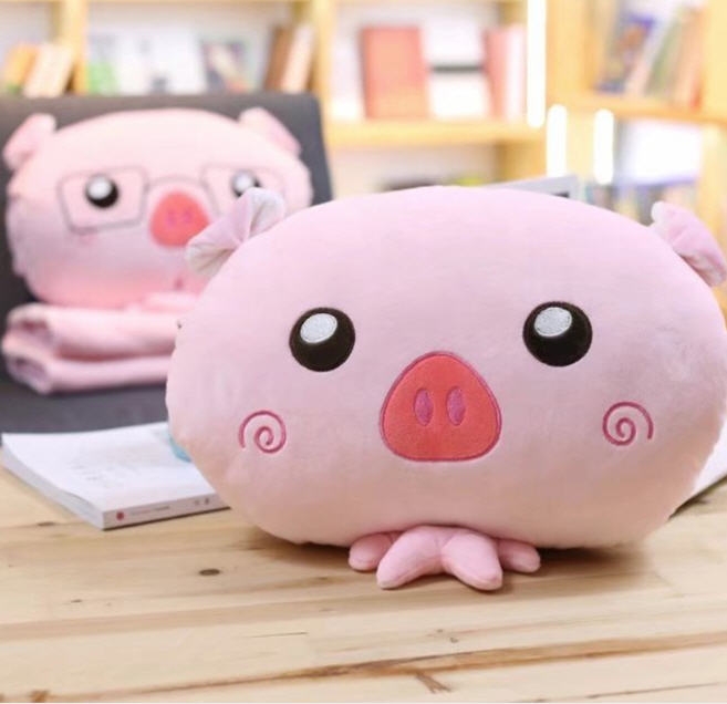 หมอนตุ๊กตา,หมอนตุ๊กตาน่ารัก,หมอนผ้าห่ม,รับผลิตหมอนตามแบบ,หมอนราคาถูก