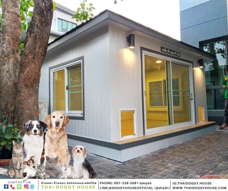 บ้านหมา แบบบ้าน Modern Style ติดแอร์