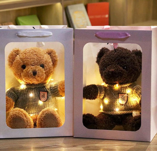 รับผลิต,ตุ๊กตาหมี+ถุงใส่+ไฟ,ตุ๊กตาหมีปักโลโก้,ตุ๊กตาหมี,ตุ๊กตาหมีของขวัญ,30cm