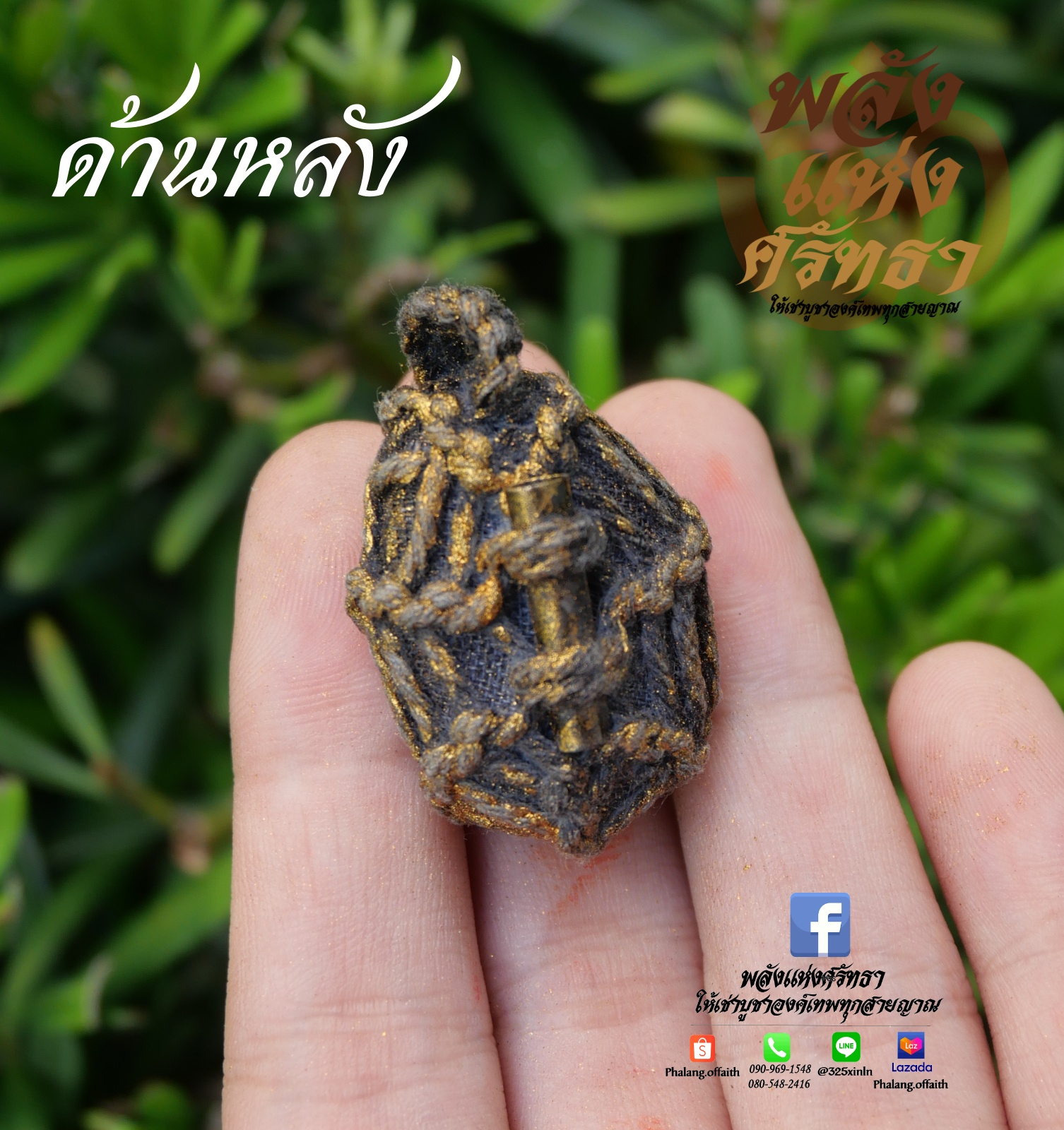 เบี้ยแก้ ชิ้นเล็ก หอยเบี้ยแก้ พกติดตัว ขจัดคุณไสยมนต์ดำและสิ่งไม่ดี