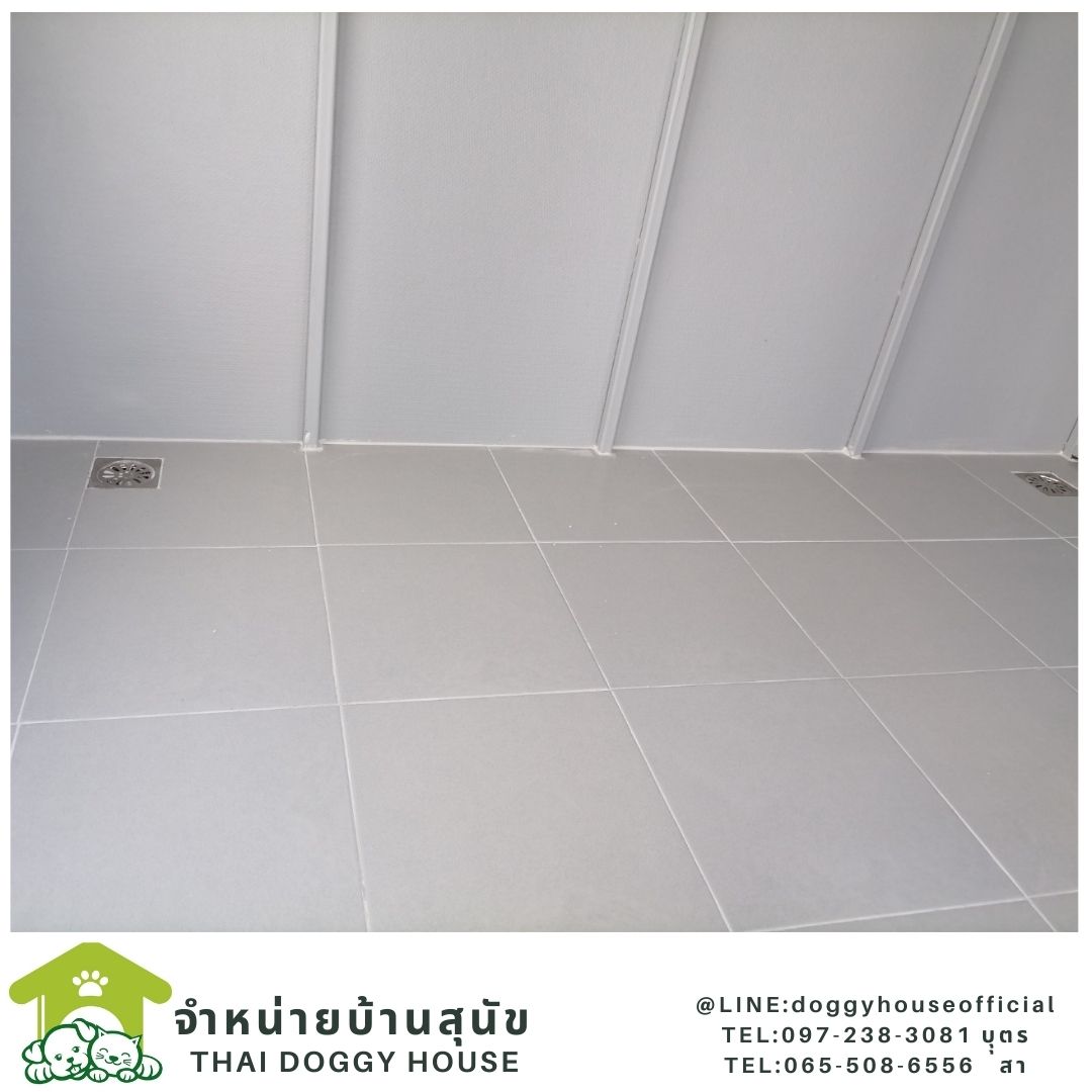 บ้านหมา