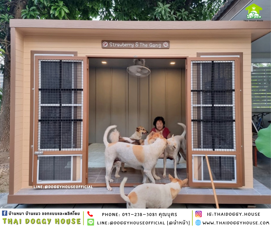 บ้านหมา แบบบ้าน BOX STYLE