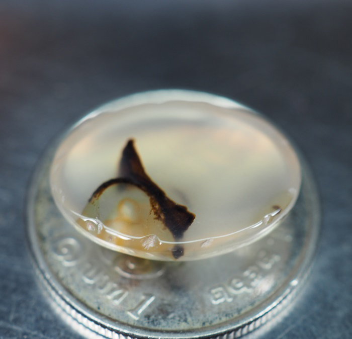 หินสีสวยลายธรรมชาติ (Moontan Agate) 6.70 กะรัต