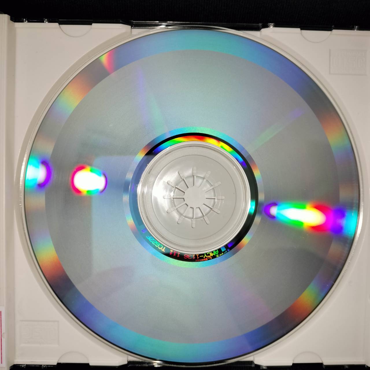 Cyrus Chestnut – Earth Stories / JAPAN / แผ่นสภาพนางฟ้า / มี Obi