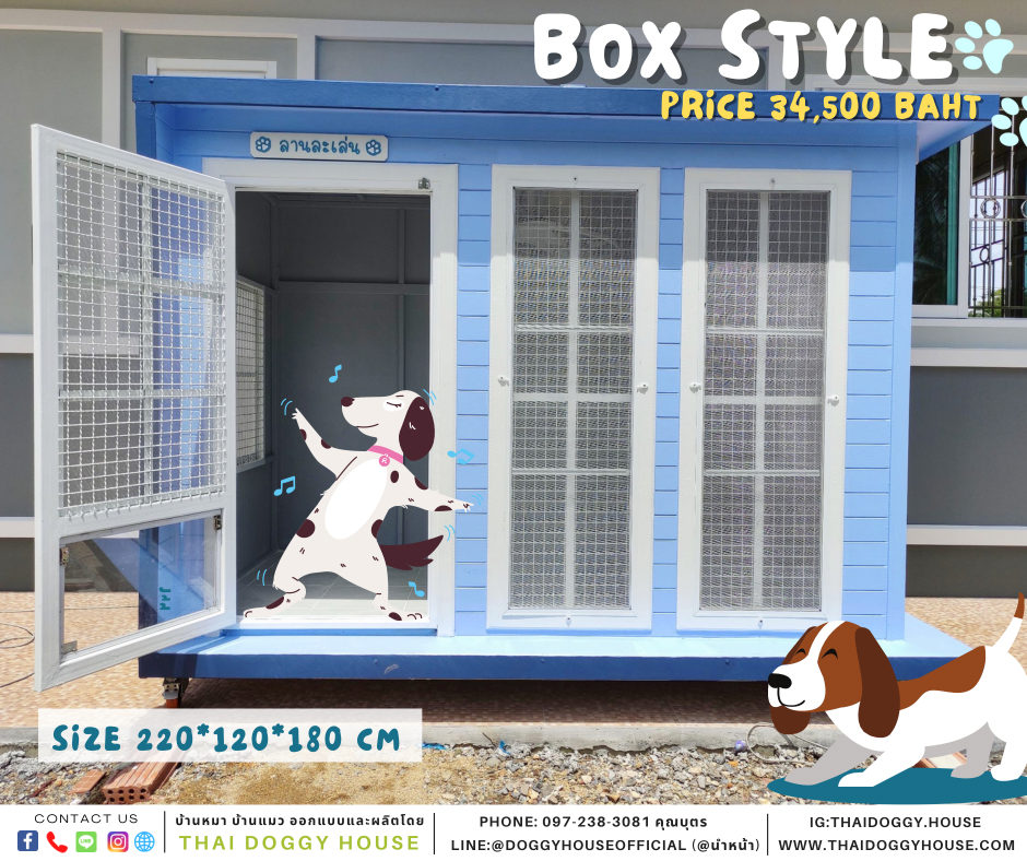 บ้านหมา แบบบ้าน BOX STYLE