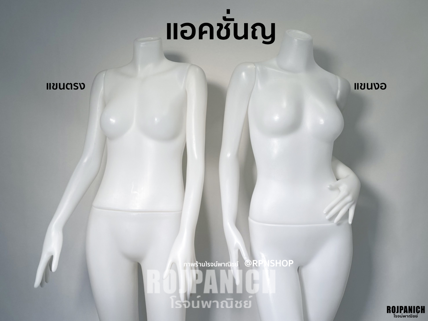 หุ่นแอคชั่นญ