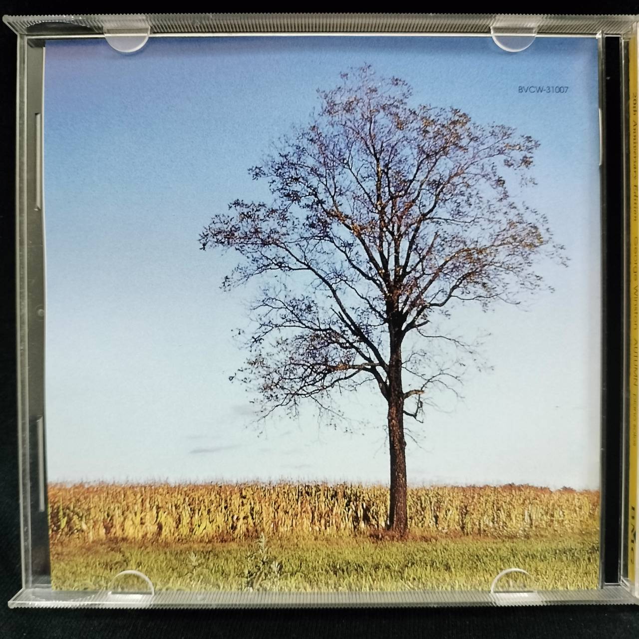 George Winston – Autumn (20th Anniversary Edition) / JAPAN / แผ่นดี