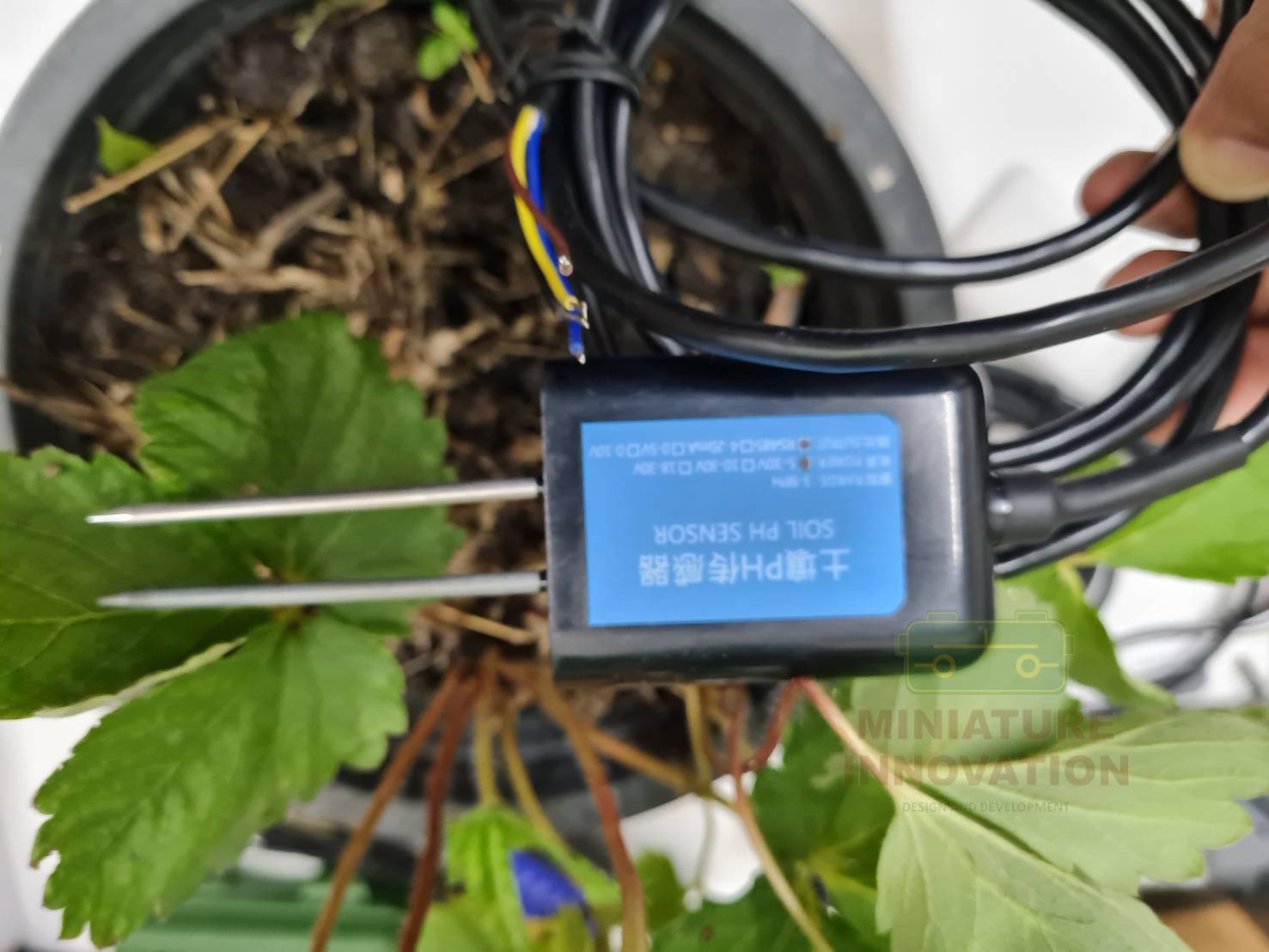 Soil Ph Sensor สำหรับวัดค่า พีเอช ในดินเชิงการเกษตร OUTPUT RS485