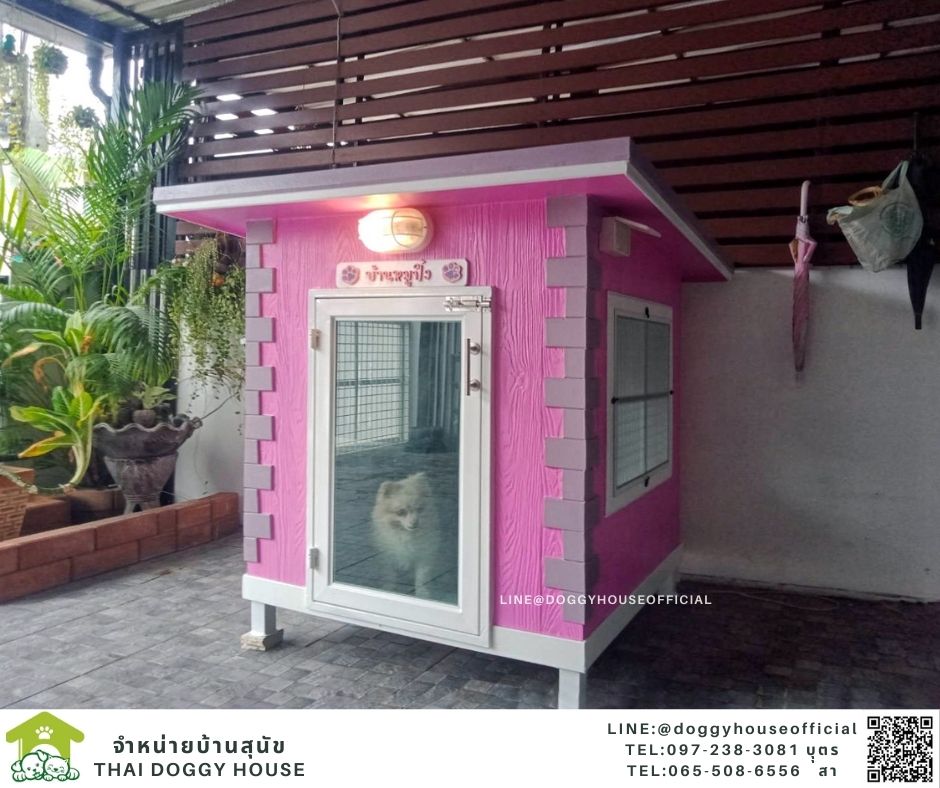 บ้านหมา