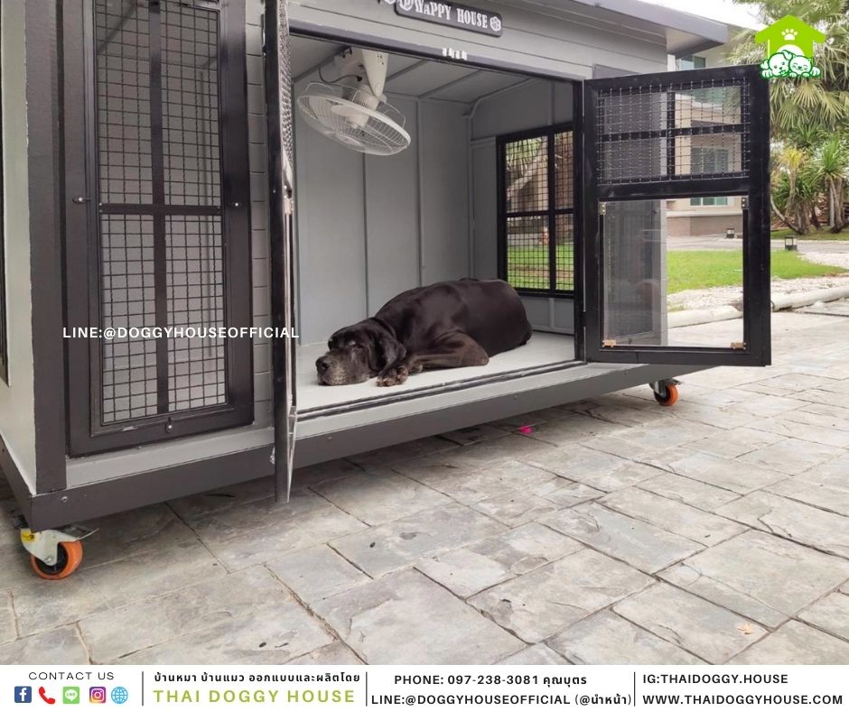 บัานหมา แบบบ้าน Box style