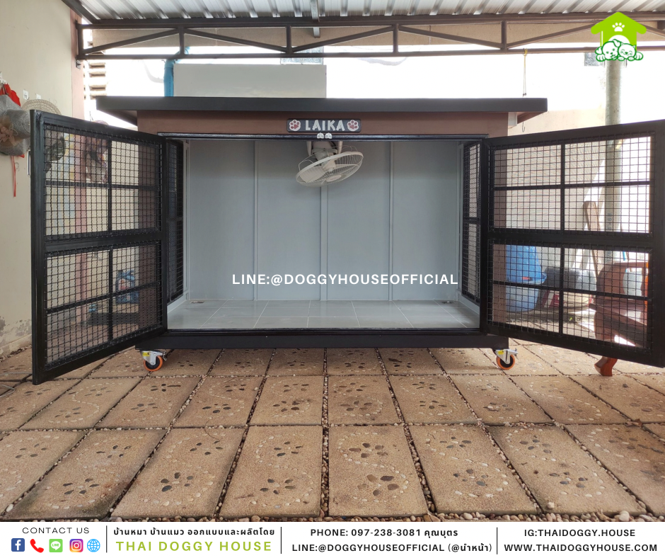 บ้านหมา แบบบ้าน Box Style