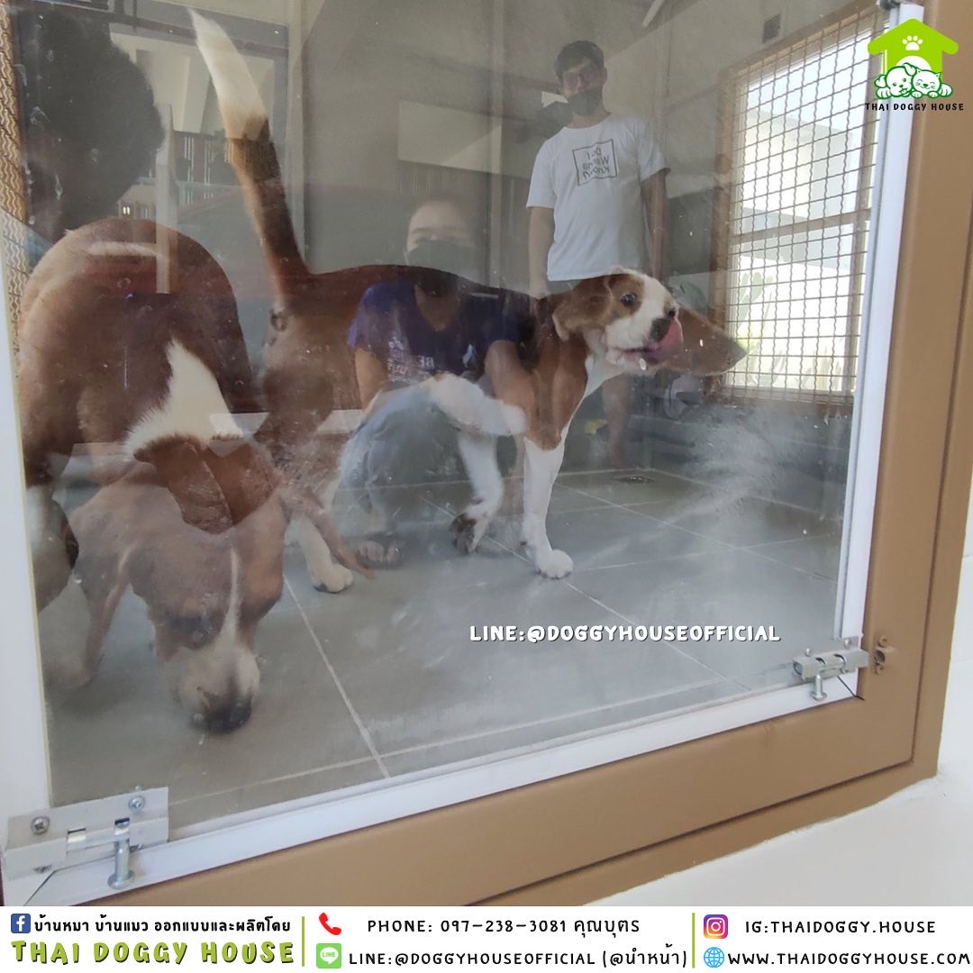 บ้านหมา แบบบ้าน 𝑵𝒐𝒓𝒅𝒊𝒄 𝒔𝒕𝒚𝒍𝒆