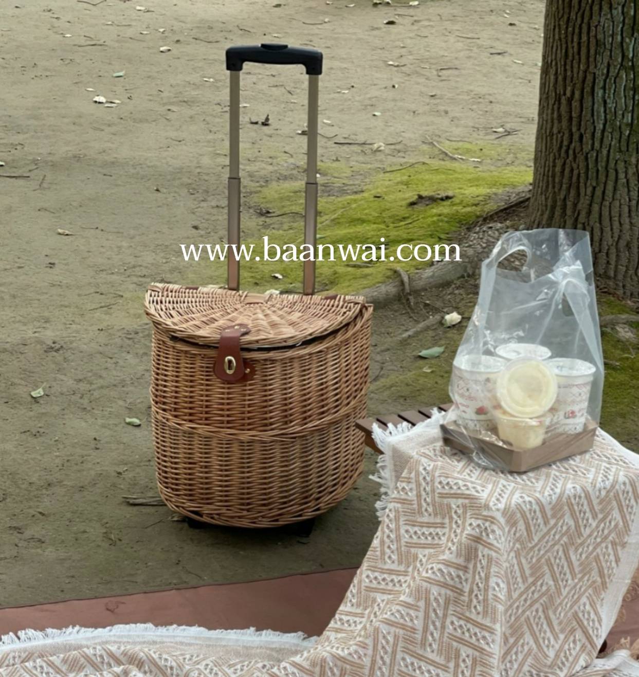 ตะกร้าปิคนิค หวายหลิว บุผ้า แบบล้อลาก