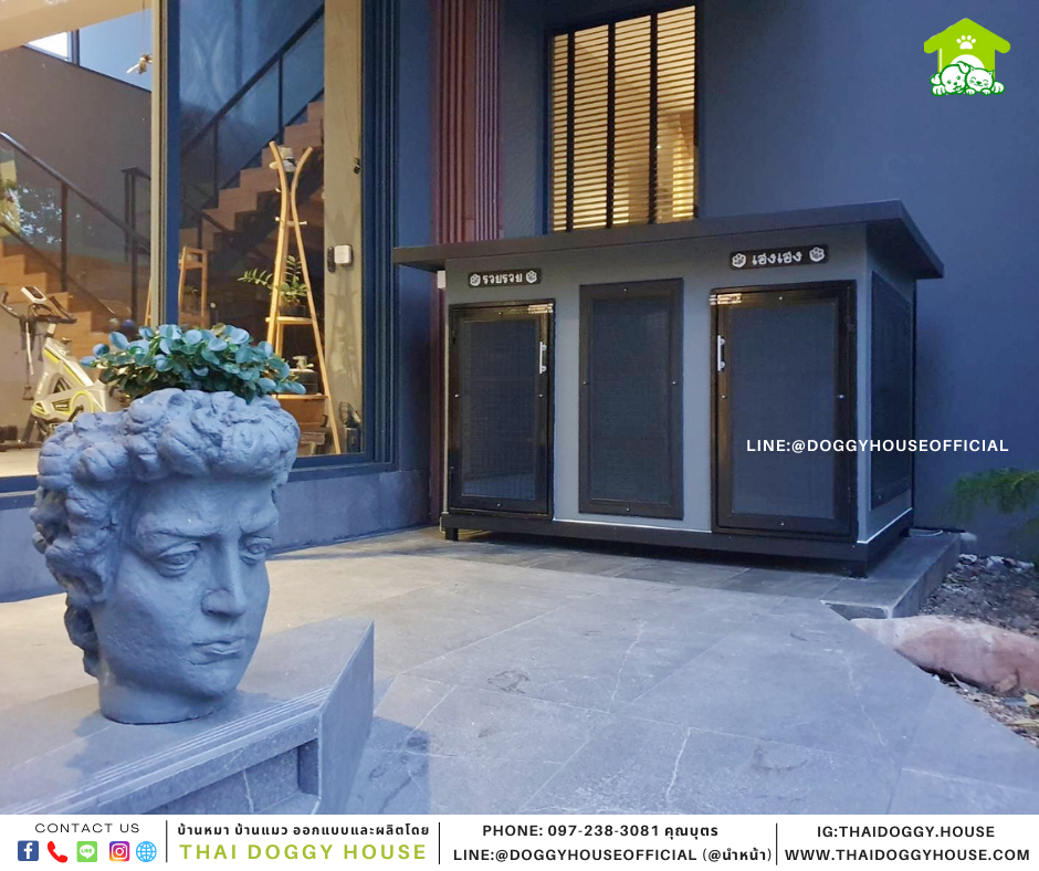 บ้านหมา 2ประตู Box style
