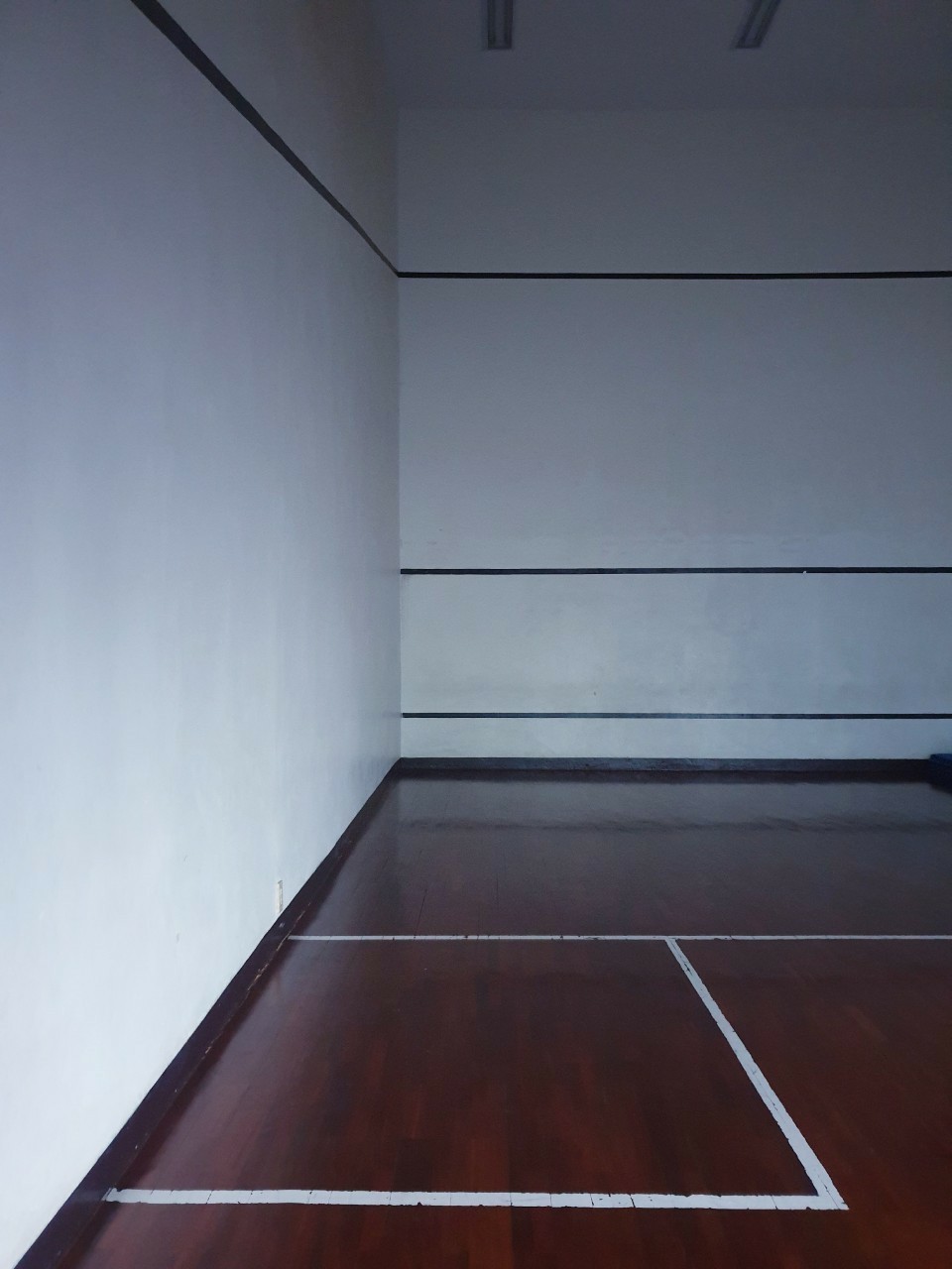 Acadamia Grand Tower Pet friendly for rent