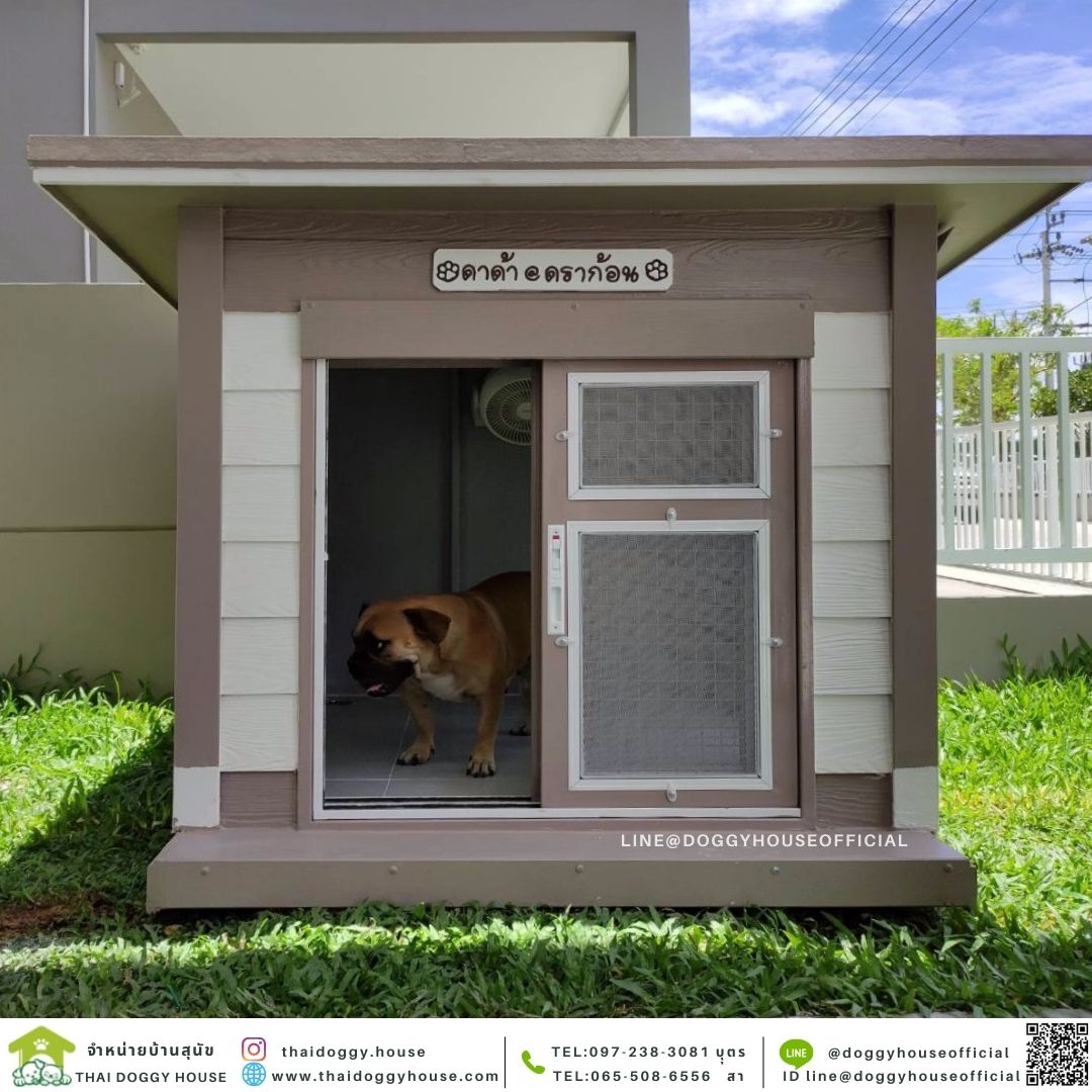 บ้านหมา