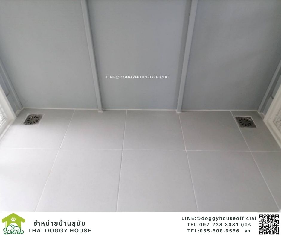 บ้านหมา