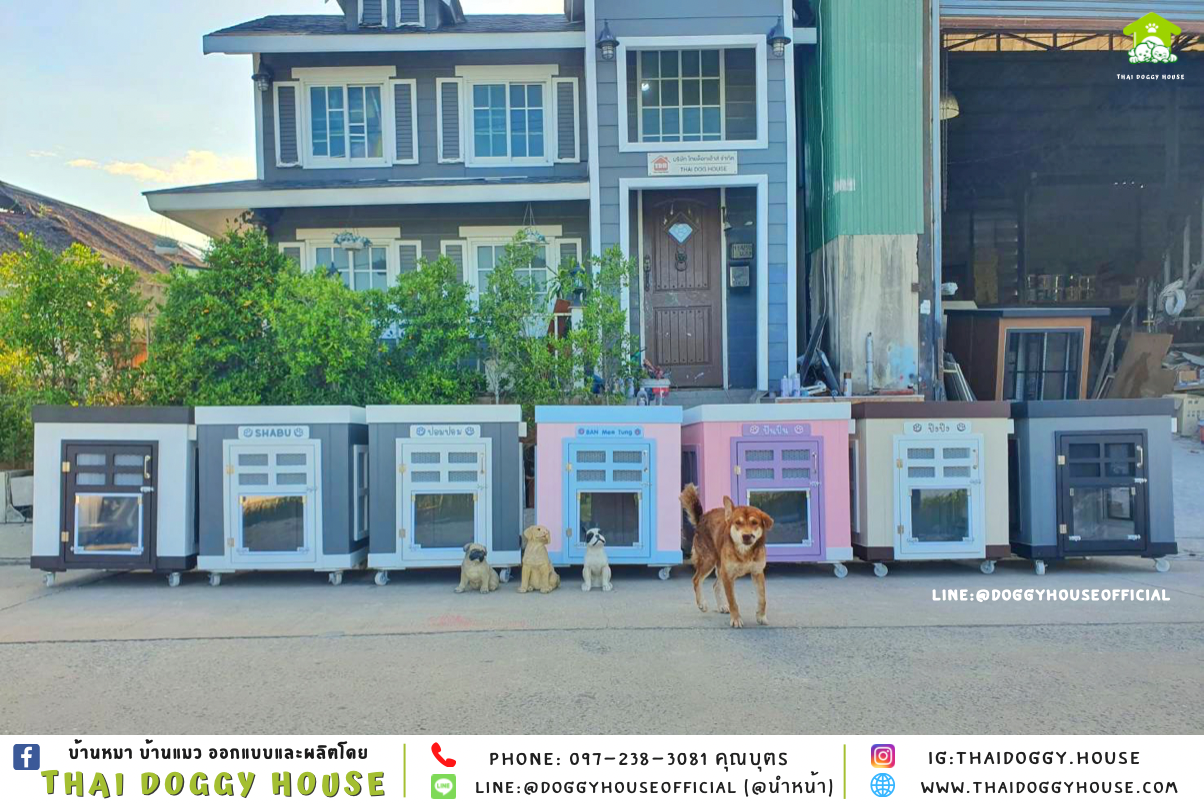 บ้านหมา ทรง 𝐁𝐎𝐗