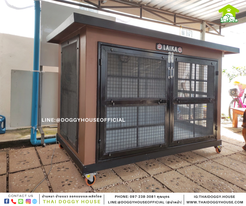 บ้านหมา แบบบ้าน Box Style